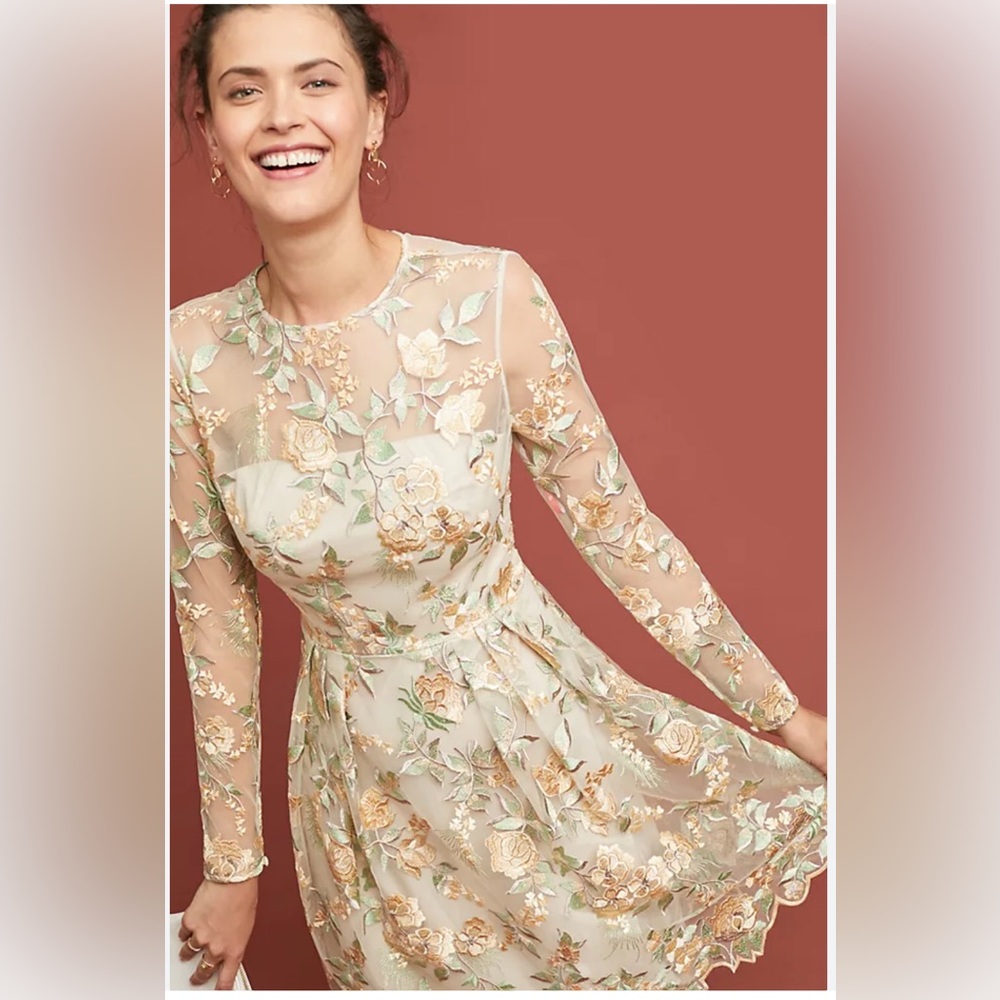 ML Monique Lhuillier Cia Embroidered Dress Anthropologie